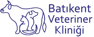 Batıkent Veteriner Kliniği